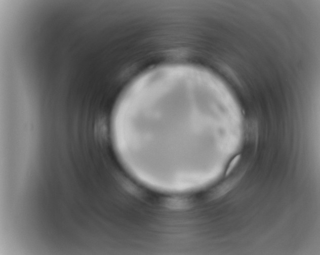 X0000113120238200910091143