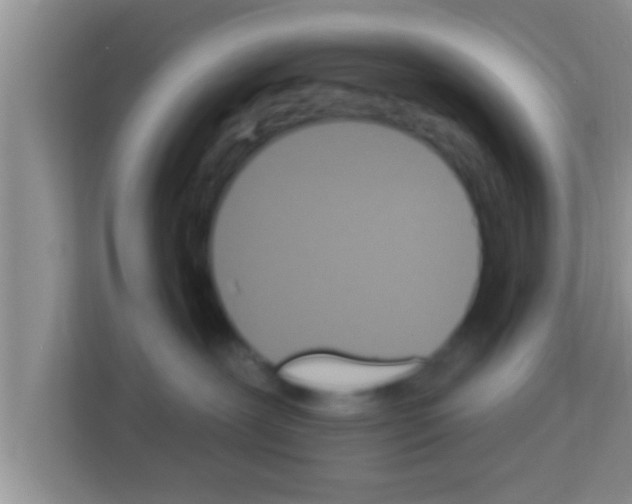 X0000113120239200910091143