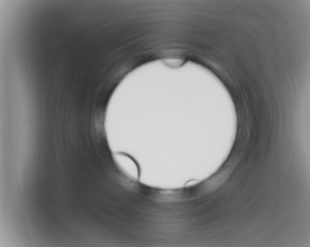 X0000113120240200910091143