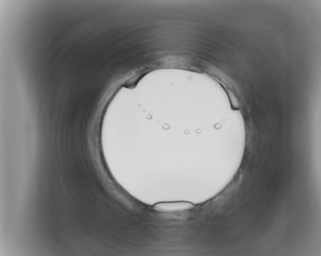X0000113120241200910091142
