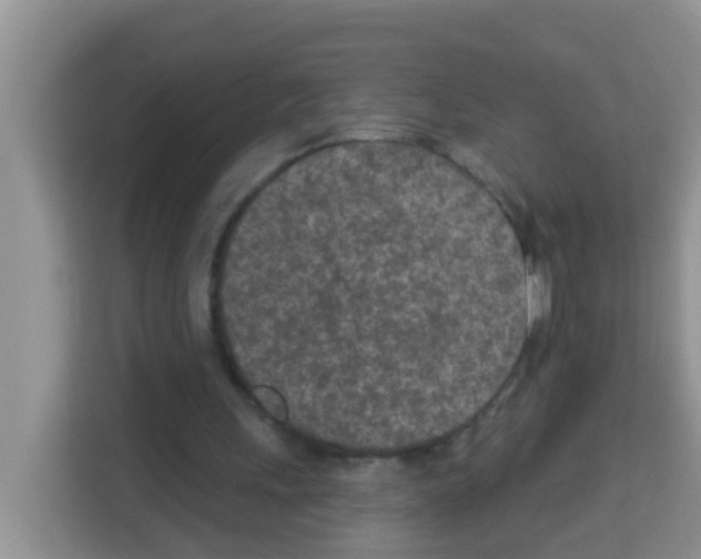 X0000113120243200910091142