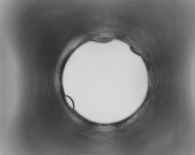 X0000113120245200910091142
