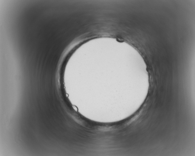 X0000113120246200910091142