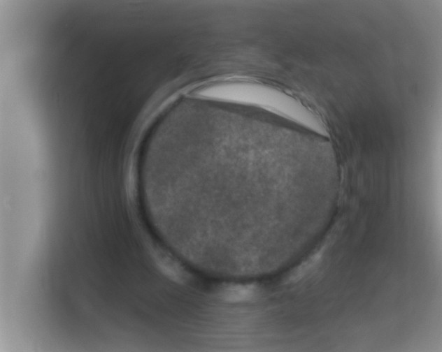 X0000113120247200910091142