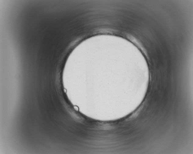 X0000113120249200910091142