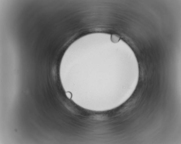 X0000113120251200910091142
