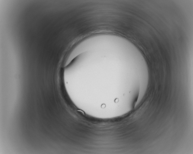 X0000113120252200910091142