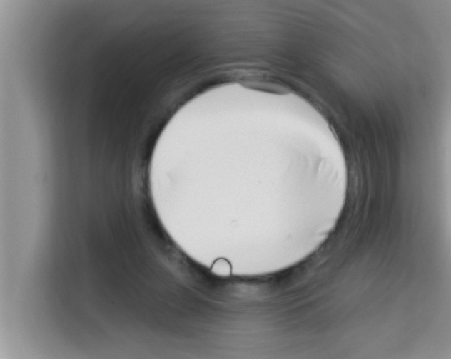 X0000113120255200910091143