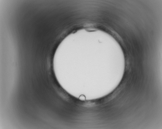 X0000113120257200910091143