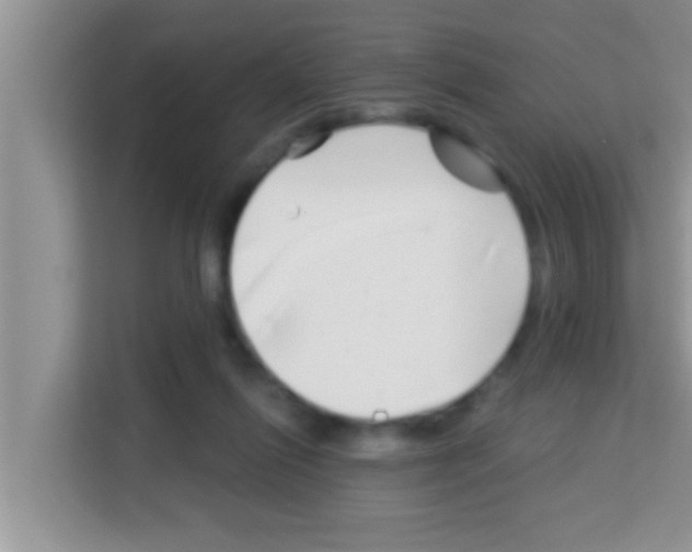 X0000113120262200910091143
