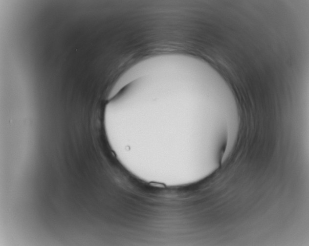 X0000113120264200910091143