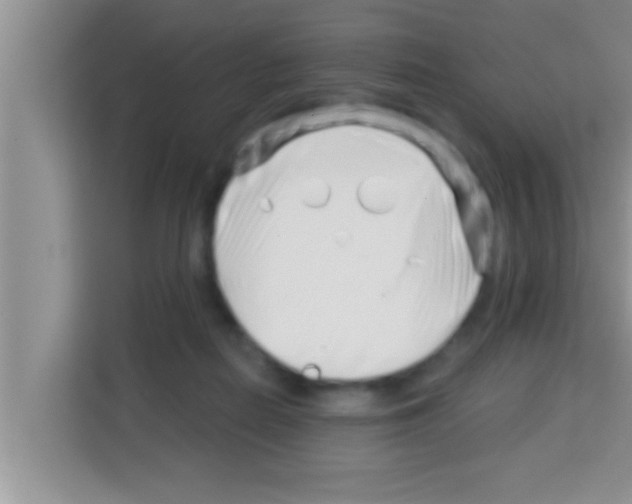 X0000113120266200910091143