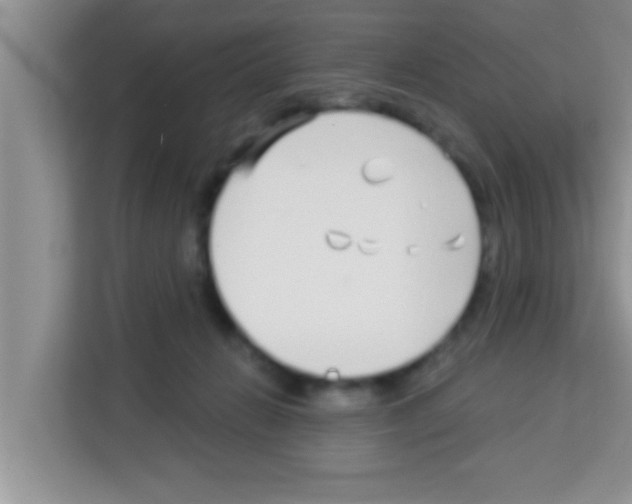 X0000113120270200910091143