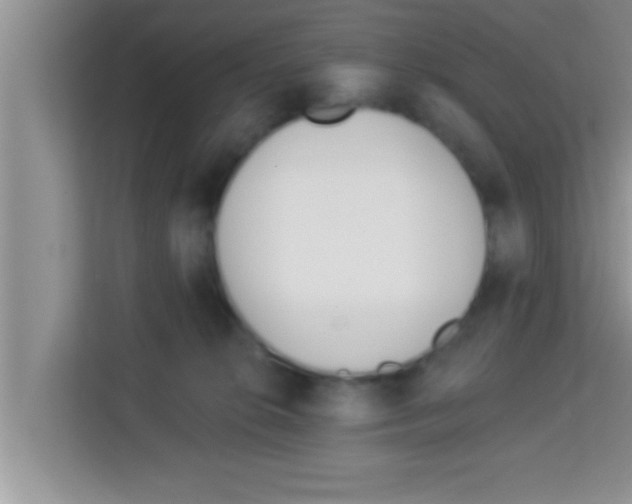X0000113120276200910091143