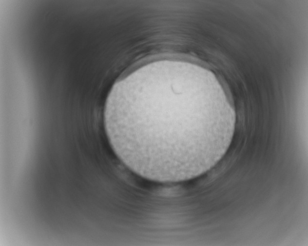X0000113120278200910091143