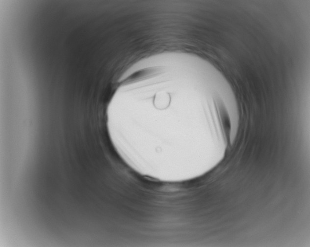 X0000113120280200910091143