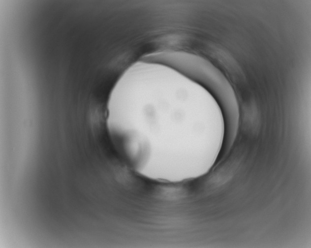 X0000113120284200910091143