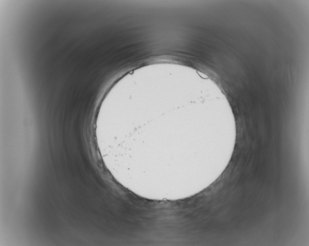 X0000113120289200910091142