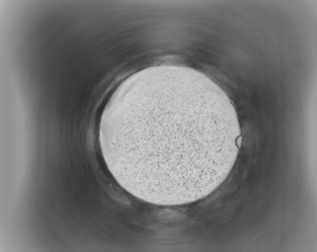 X0000113120290200910091142
