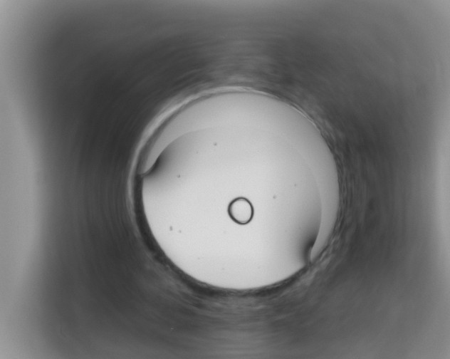 X0000113120292200910091142