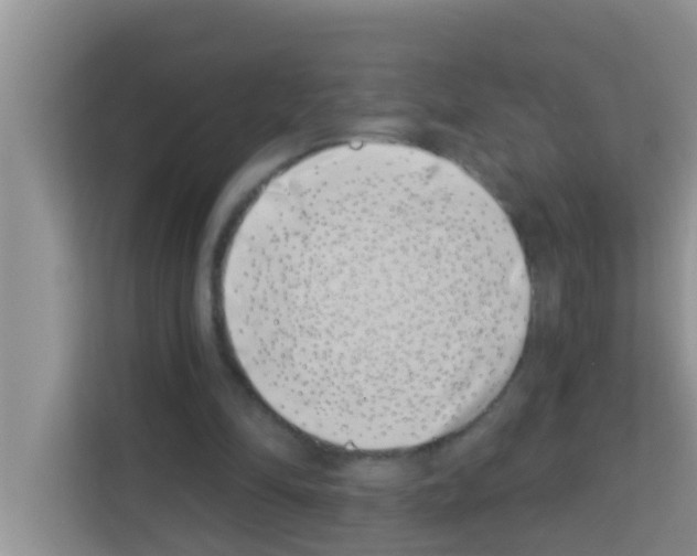 X0000113120294200910091142