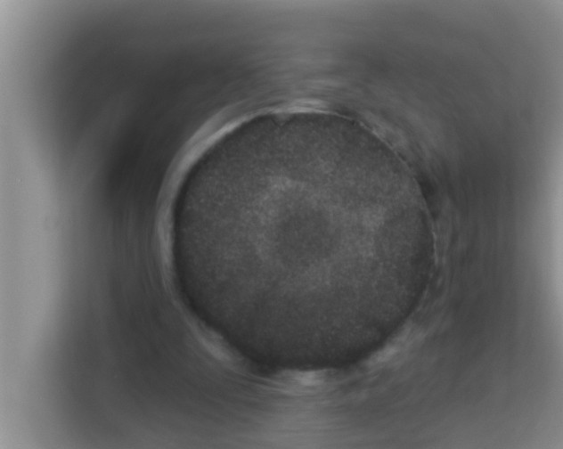 X0000113120295200910091142