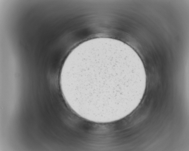 X0000113120297200910091142
