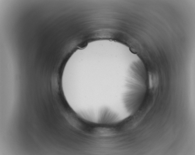 X0000113120300200910091142