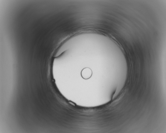 X0000113120301200910091142