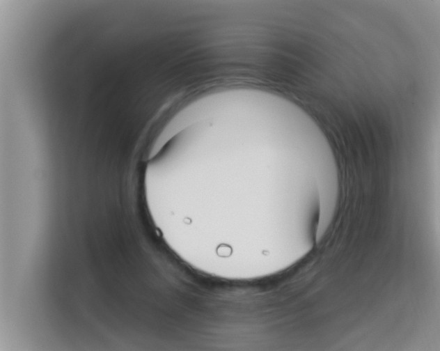 X0000113120304200910091142