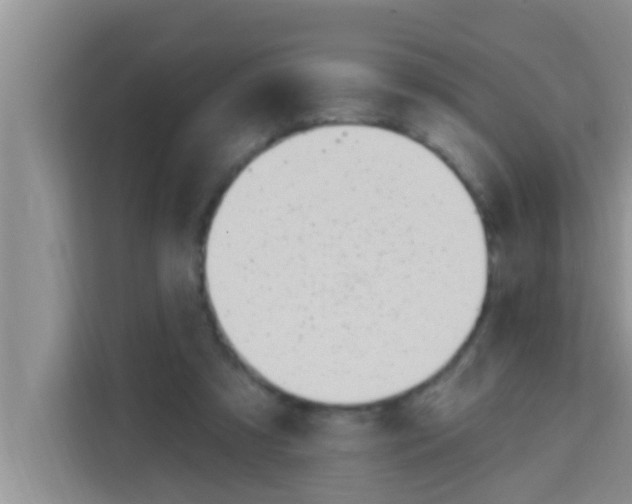 X0000113120305200910091142