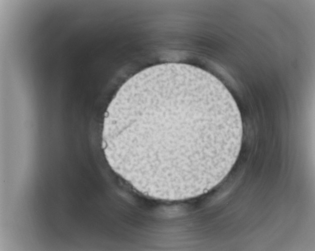 X0000113120307200910091142