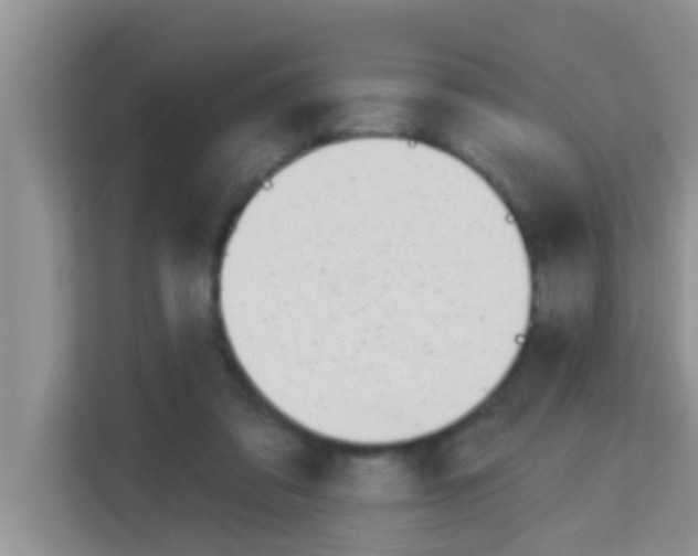 X0000113120309200910091142