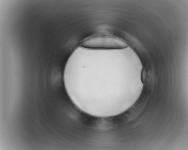 X0000113120320200910091142