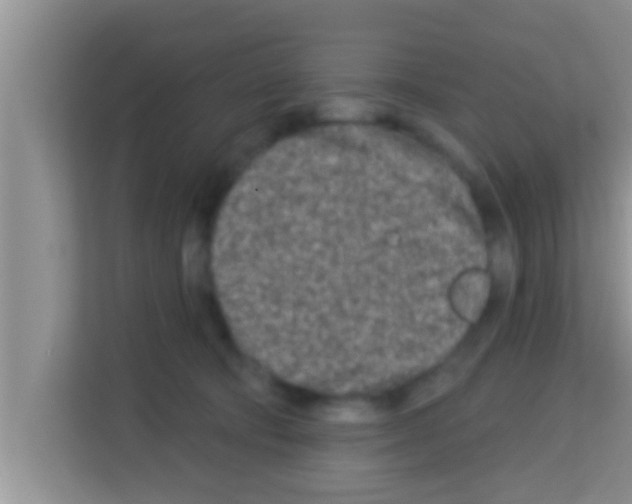 X0000113120322200910091142