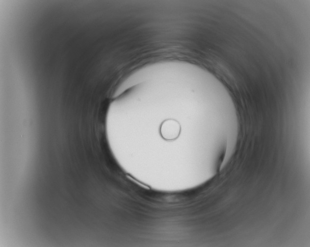 X0000113120324200910091142