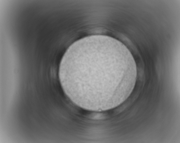 X0000113120326200910091142