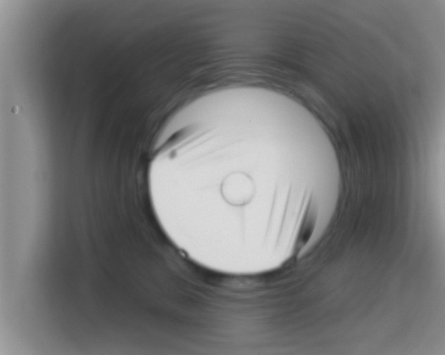 X0000113120327200910091142