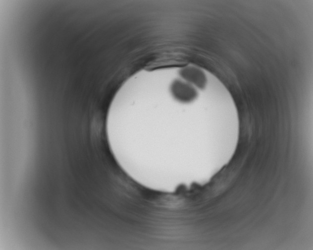 X0000113120328200910091142