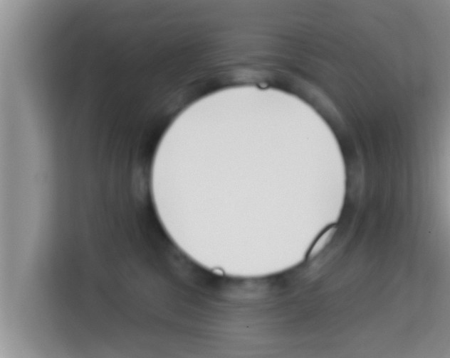 X0000113120329200910091142