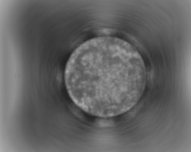 X0000113120331200910091142