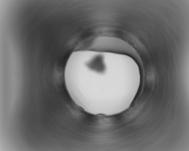 X0000113120332200910091142