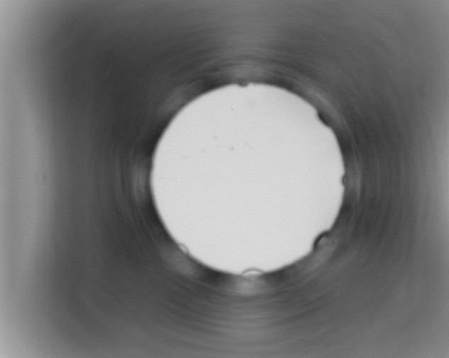 X0000113120333200910091142