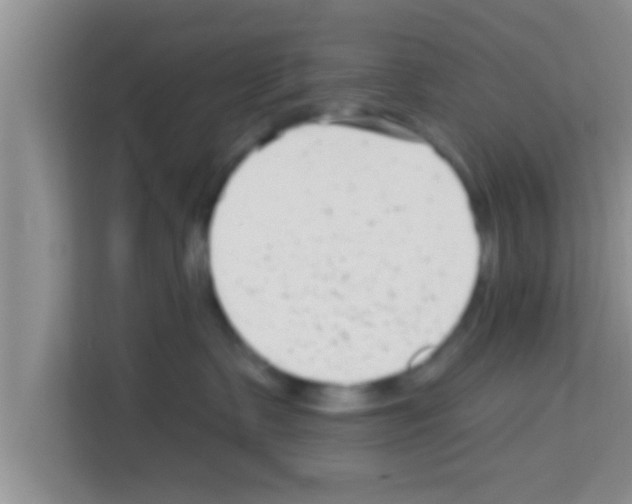 X0000113120335200910091142
