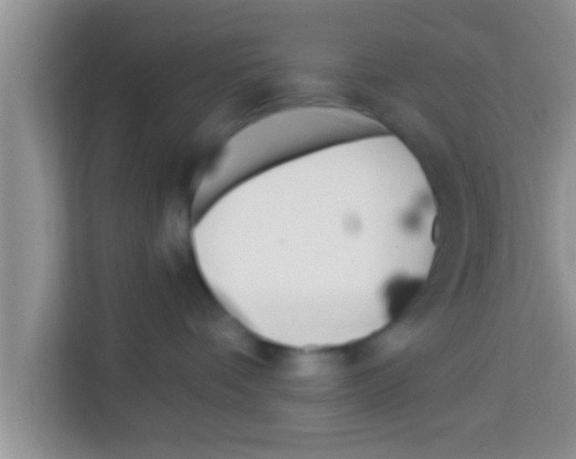 X0000113120336200910091142