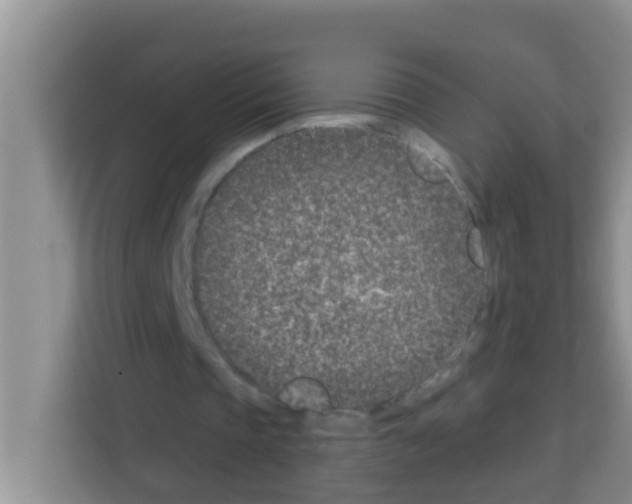 X0000113120337200910091141