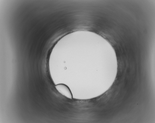 X0000113120338200910091141