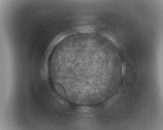 X0000113120339200910091141