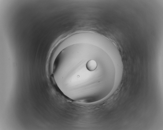 X0000113120340200910091141