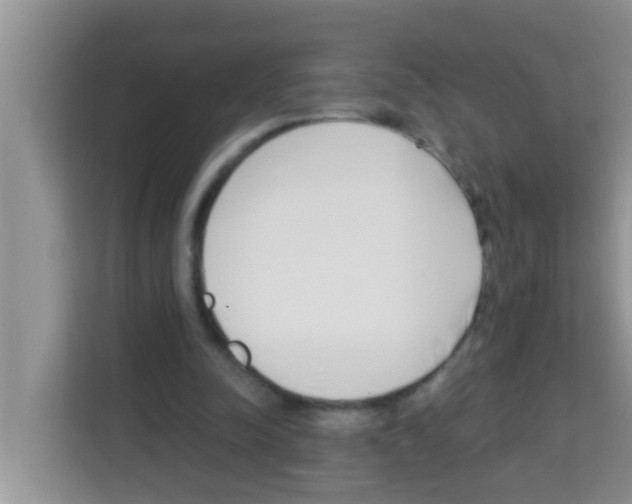 X0000113120342200910091141